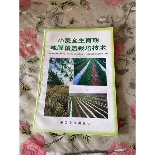 正版旧书 小麦全生育期地膜覆盖栽培技术