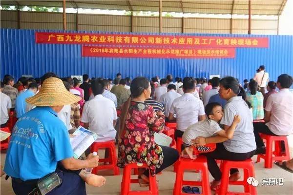 科技赋能水稻生产，广西九龙腾农业科技召开新技术应用及工厂化育秧现场会